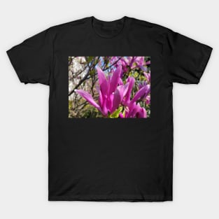 gift for birthday  happy birthday beautiful magnolia flower T-Shirt